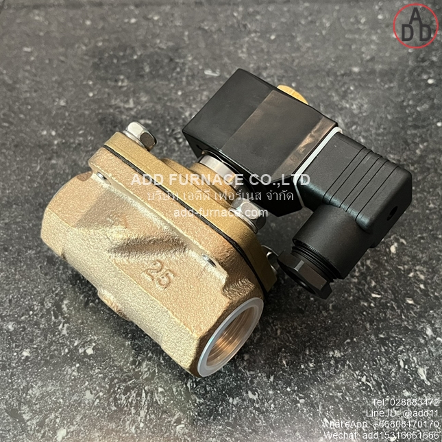 ADK11-25A-02E-AC220V (10) 